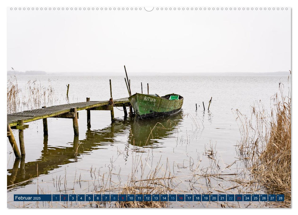 Naturerlebnis Stettiner Haff (CALVENDO Wandkalender 2025)