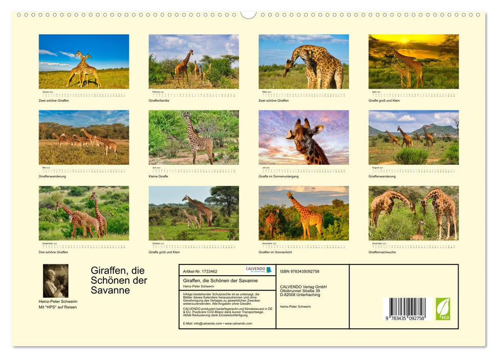 Giraffen, die Schönen der Savanne (CALVENDO Premium Wandkalender 2025)