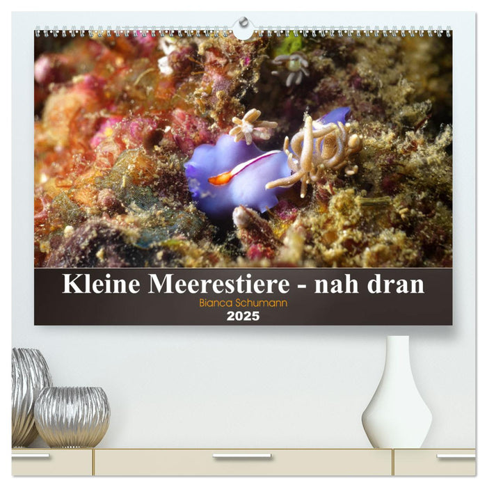 Kleine Meerestiere - nah dran (CALVENDO Premium Wandkalender 2025)