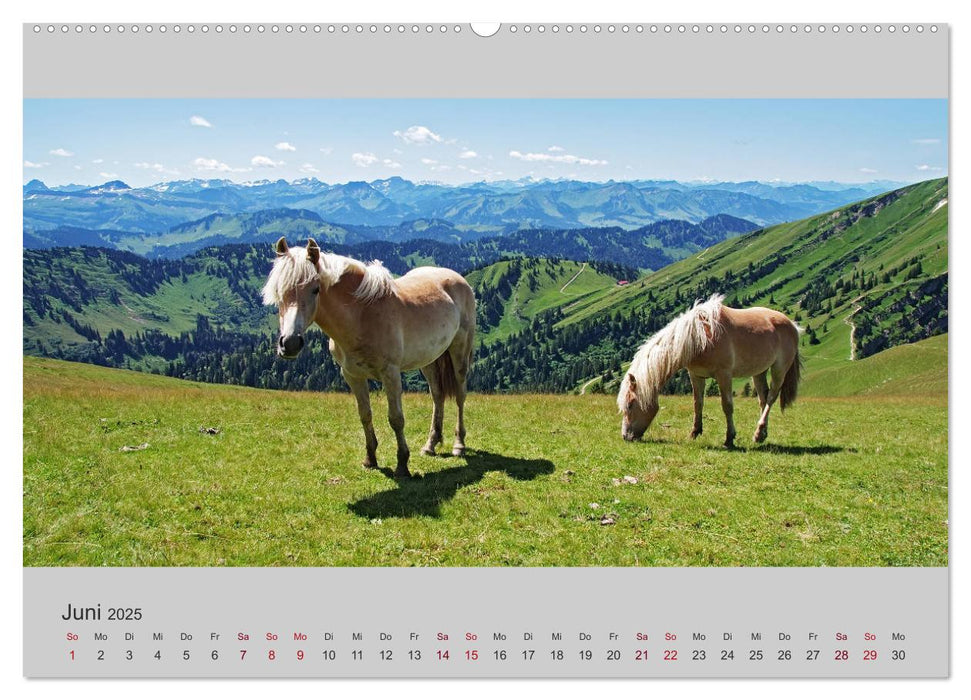 Berg - Landschaften (CALVENDO Premium Wandkalender 2025)