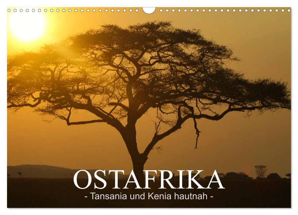 Ostafrika - Tansania und Kenia hautnah (CALVENDO Wandkalender 2025)