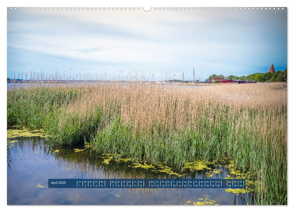 Insel Poel Kirchdorf und Umgebung (CALVENDO Wandkalender 2025)