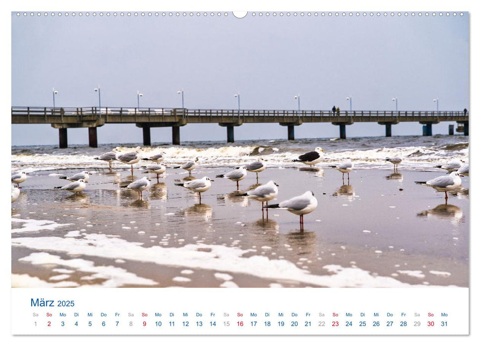 Die Sonneninsel Usedom (CALVENDO Wandkalender 2025)