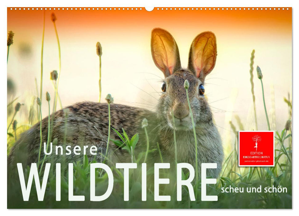 Unsere Wildtiere - scheu und schön (CALVENDO Wandkalender 2025)