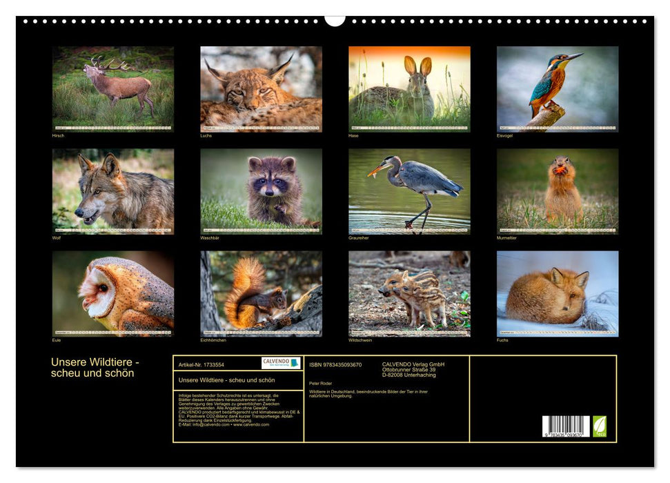 Unsere Wildtiere - scheu und schön (CALVENDO Wandkalender 2025)