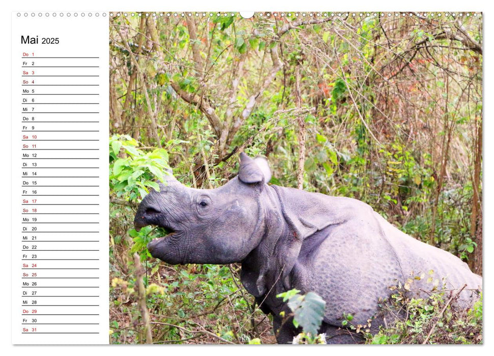 Tiere der Erde Geburtstagskalender (CALVENDO Premium Wandkalender 2025)