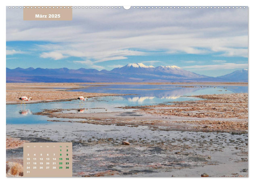 Erlebe mit mir die trockenste Wüste der Erde Atacama (CALVENDO Premium Wandkalender 2025)