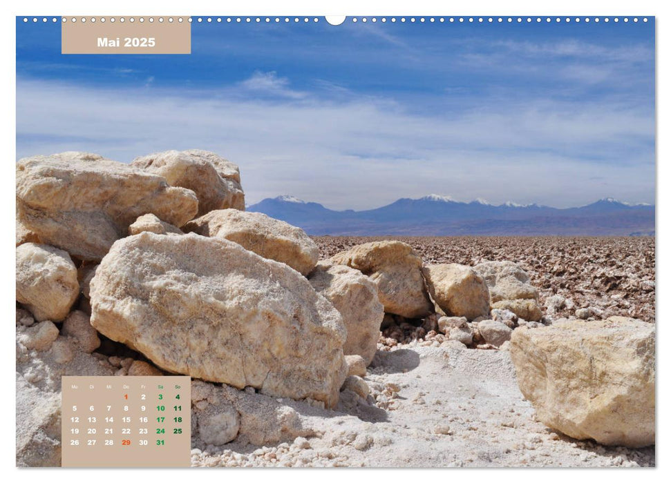 Erlebe mit mir die trockenste Wüste der Erde Atacama (CALVENDO Premium Wandkalender 2025)