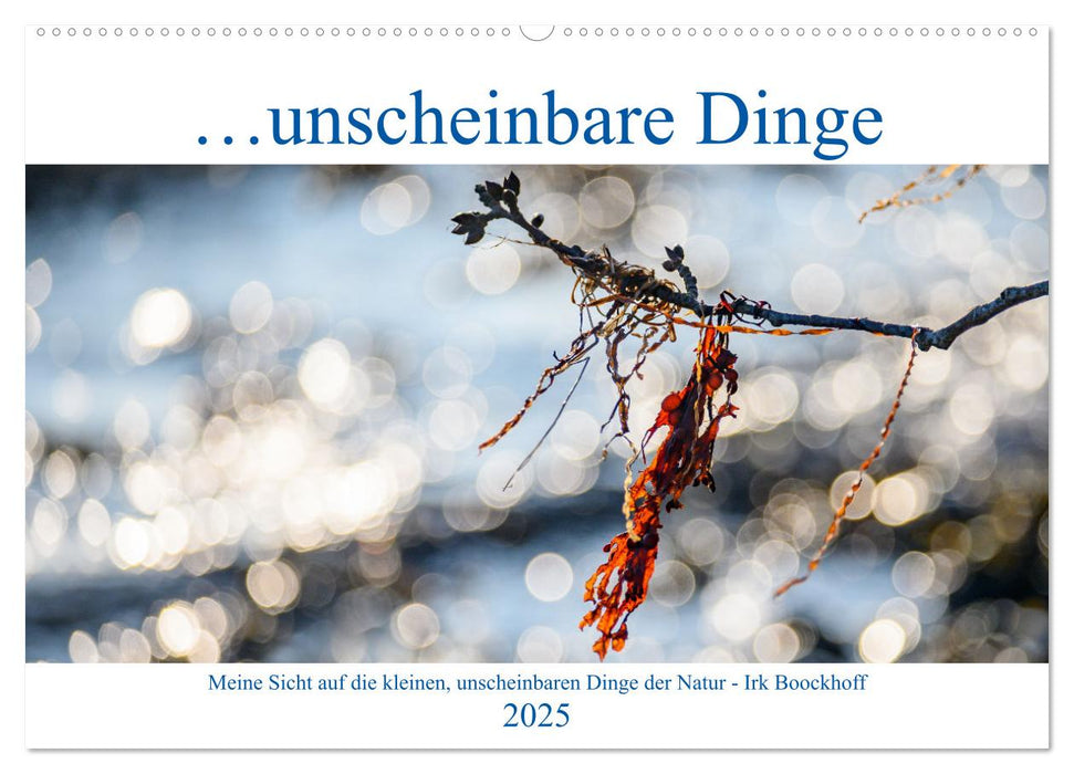 Unscheinbare Dinge (CALVENDO Wandkalender 2025)