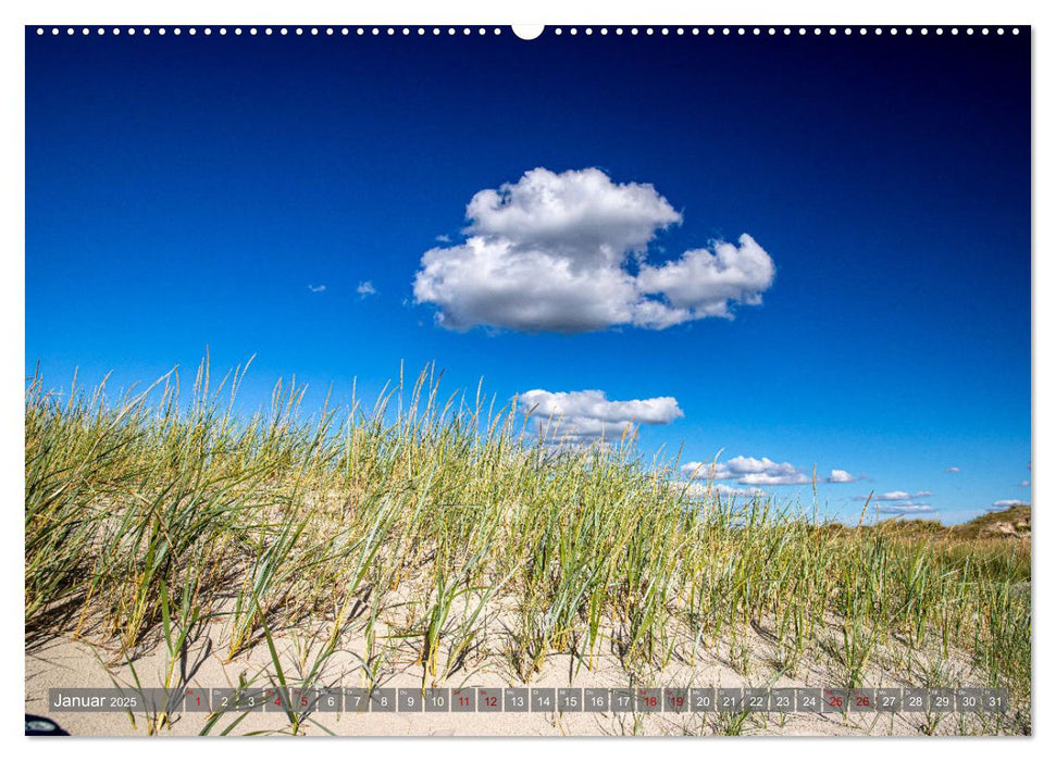 Nordfriesland, Zwischen Sylt und St. Peter Ording (CALVENDO Wandkalender 2025)