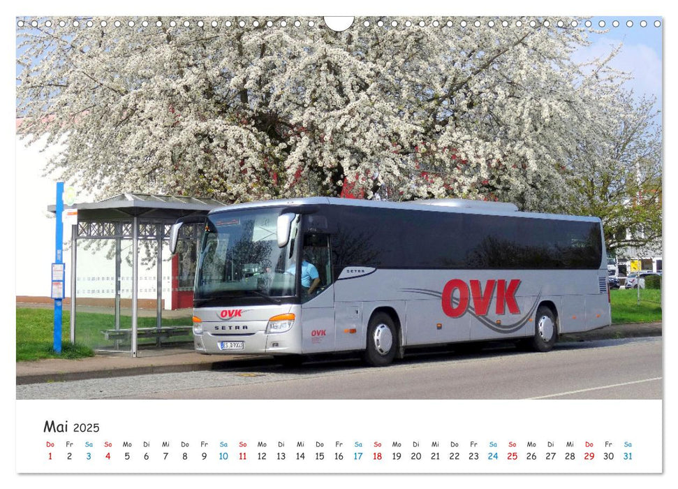 Omnibusse von heute und früher (CALVENDO Wandkalender 2025)