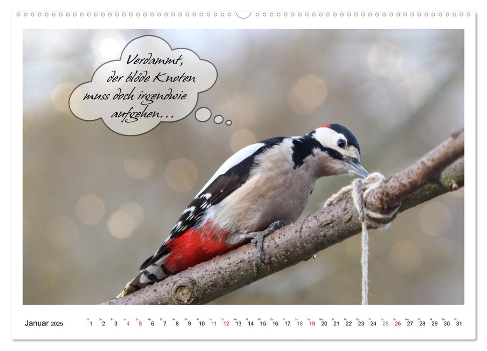 Vögel mit Humor (CALVENDO Premium Wandkalender 2025)