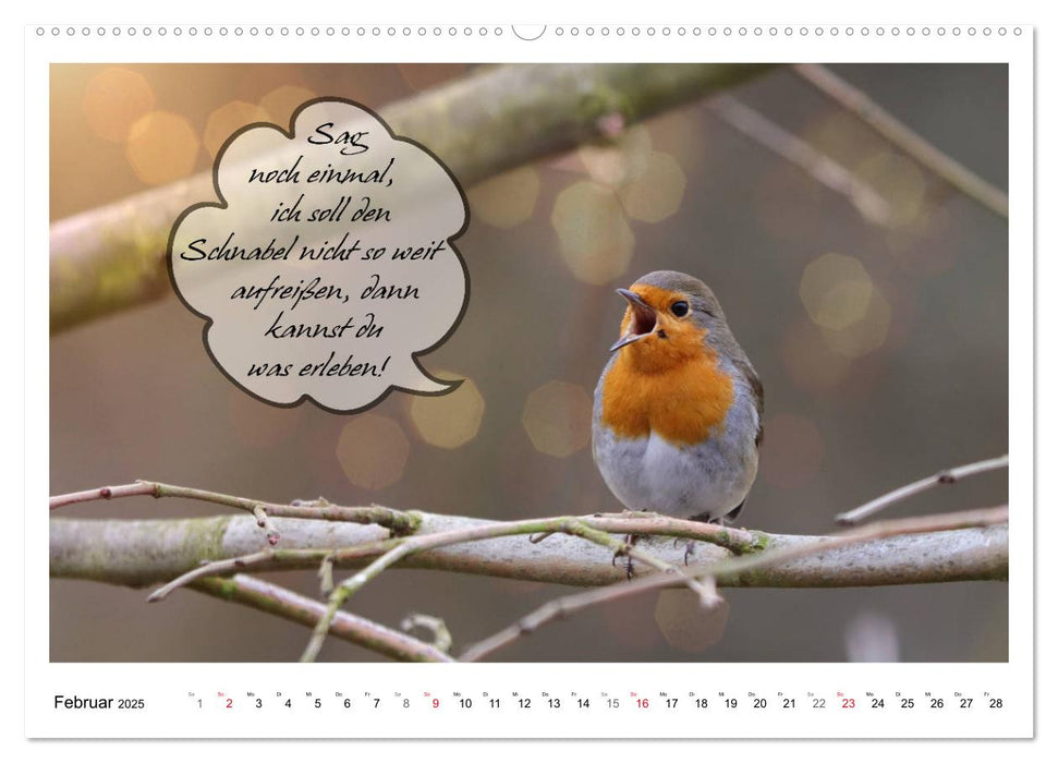 Vögel mit Humor (CALVENDO Premium Wandkalender 2025)