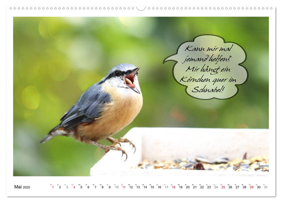 Vögel mit Humor (CALVENDO Premium Wandkalender 2025)