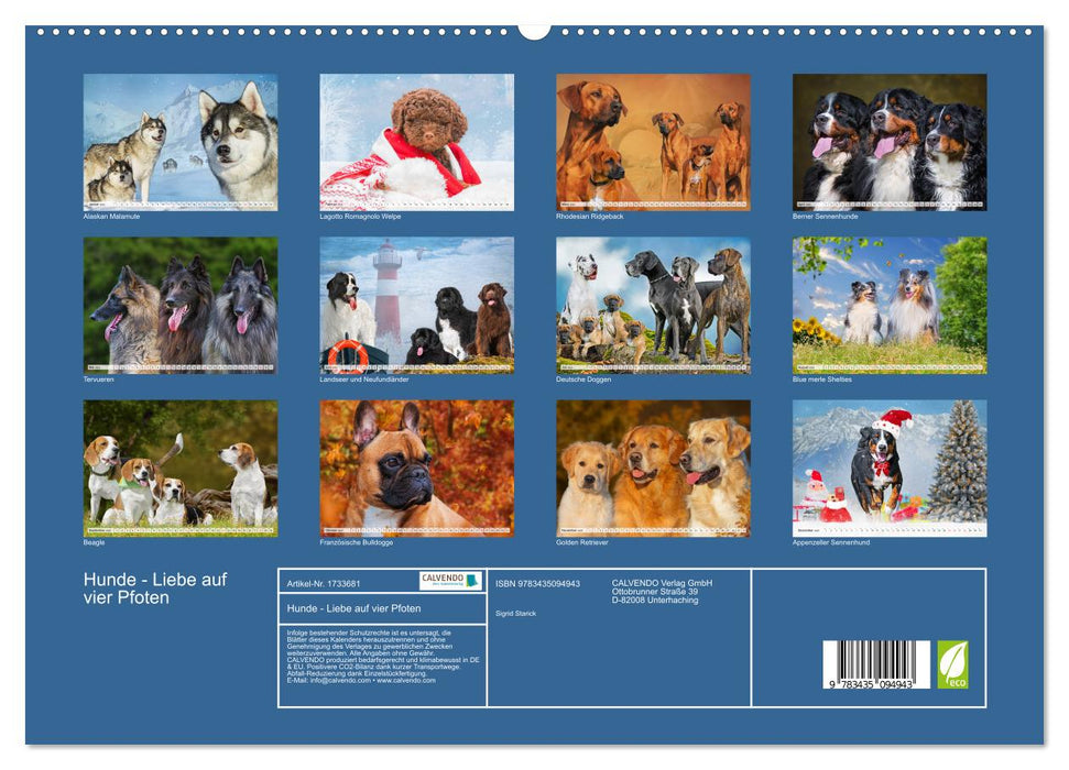 Hunde - Liebe auf vier Pfoten (CALVENDO Premium Wandkalender 2025)