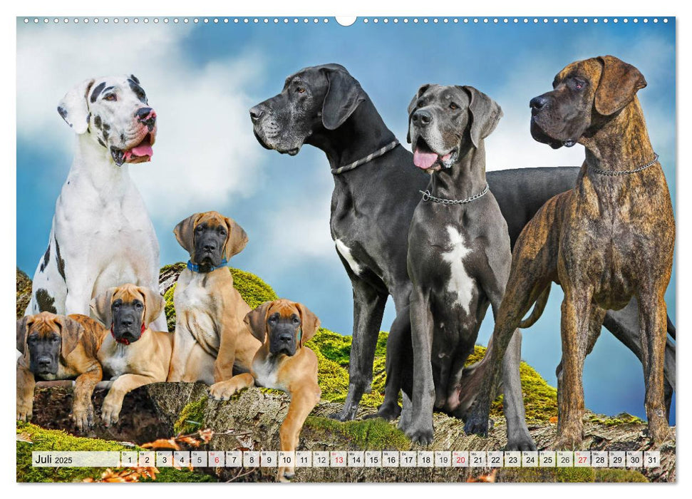 Hunde - Liebe auf vier Pfoten (CALVENDO Premium Wandkalender 2025)