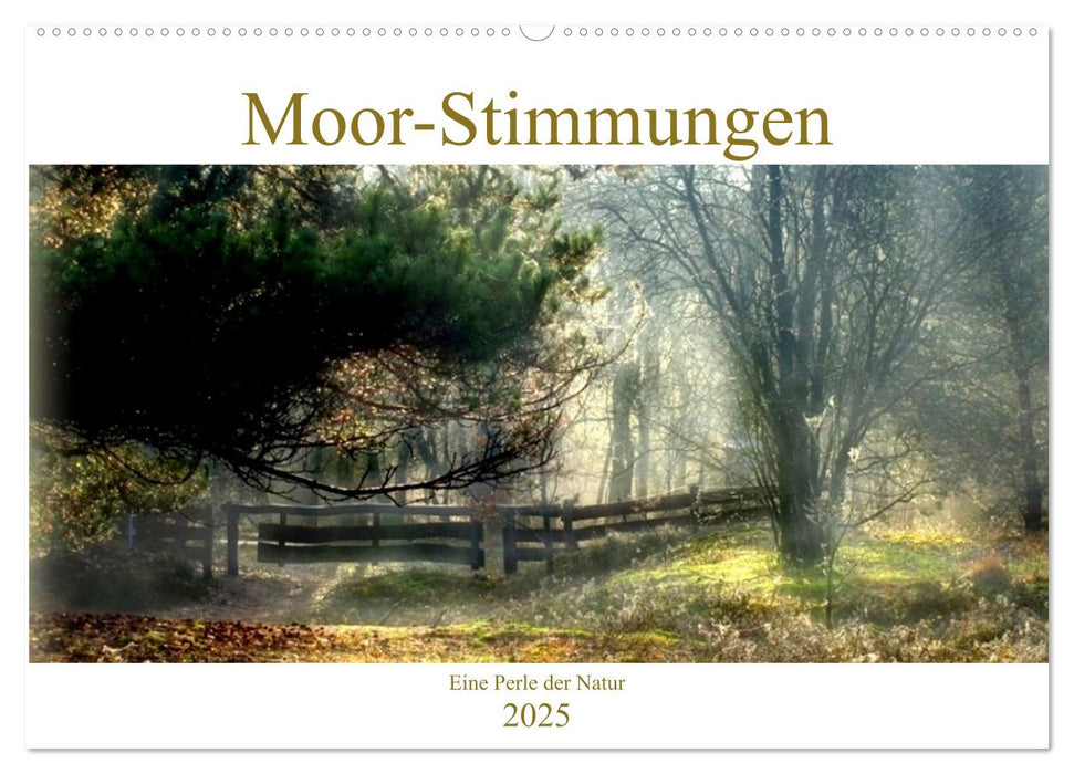 Moor-Stimmungen (CALVENDO Wandkalender 2025)