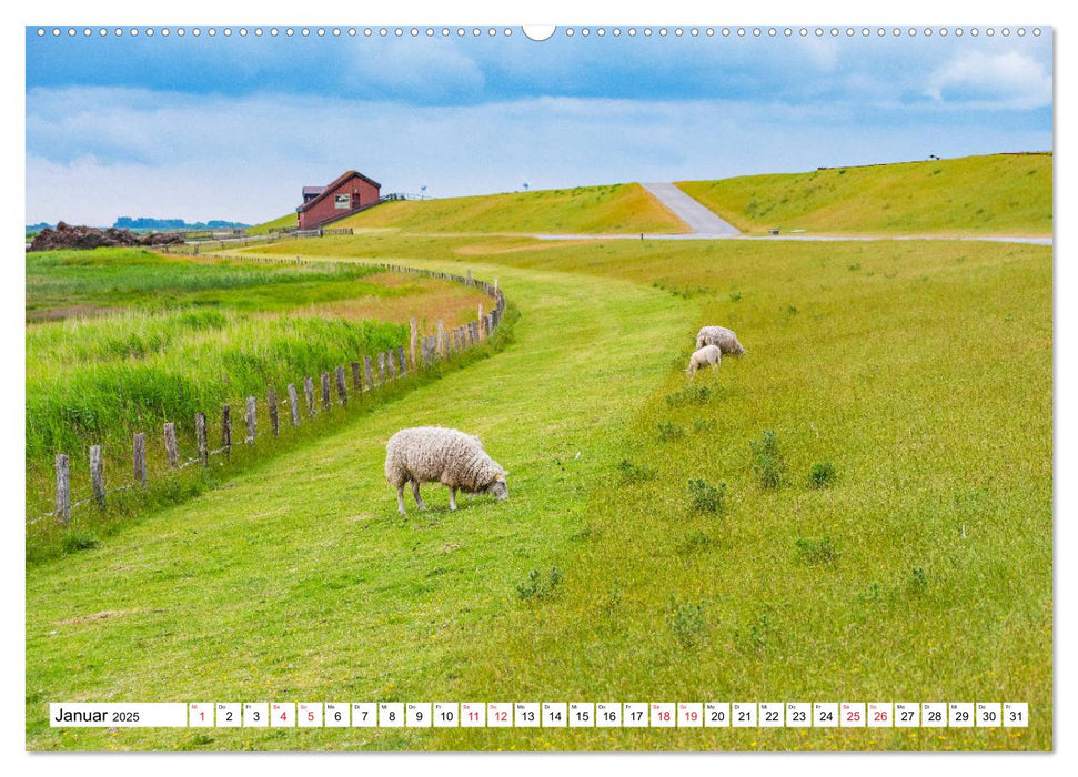 Nordfriesland - bezauberndes Reiseziel (CALVENDO Premium Wandkalender 2025)