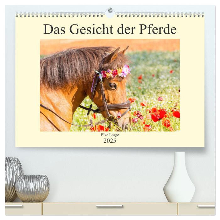 Das Gesicht der Pferde (CALVENDO Premium Wandkalender 2025)