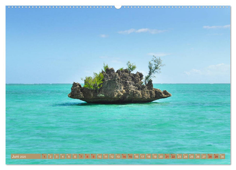 Erlebe mit mir das tropische Mauritius (CALVENDO Premium Wandkalender 2025)