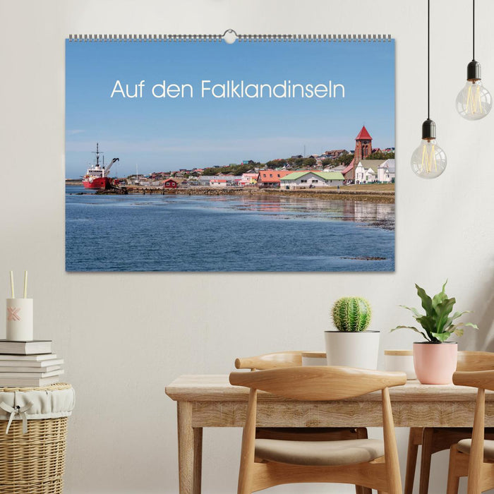 Auf den Falklandinseln (CALVENDO Wandkalender 2025)