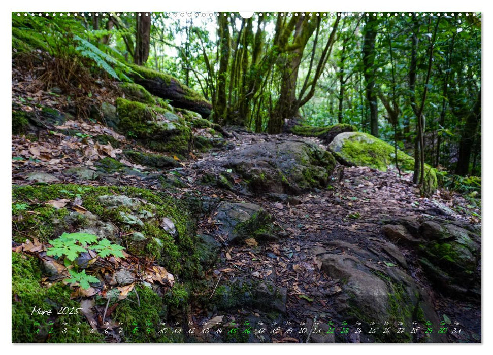 Magisches La Gomera (CALVENDO Wandkalender 2025)