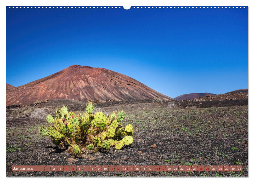 Idyllische Vulkaninsel Lanzarote (CALVENDO Premium Wandkalender 2025)