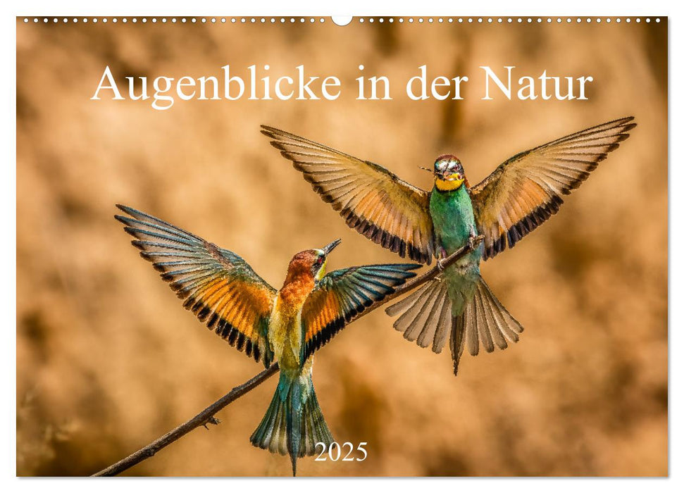 Augenblicke in der Natur (CALVENDO Wandkalender 2025)