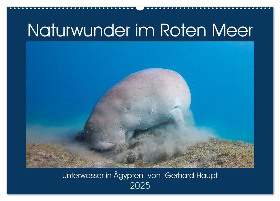 Naturwunder im Roten Meer (CALVENDO Wandkalender 2025)