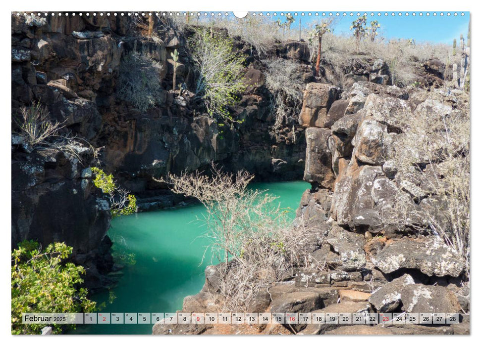 Die Galapagosinseln - Santa Cruz Island (CALVENDO Premium Wandkalender 2025)