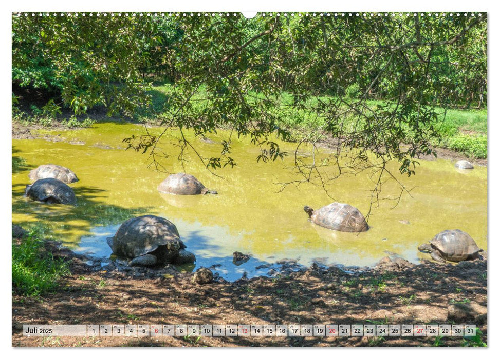 Die Galapagosinseln - Santa Cruz Island (CALVENDO Premium Wandkalender 2025)