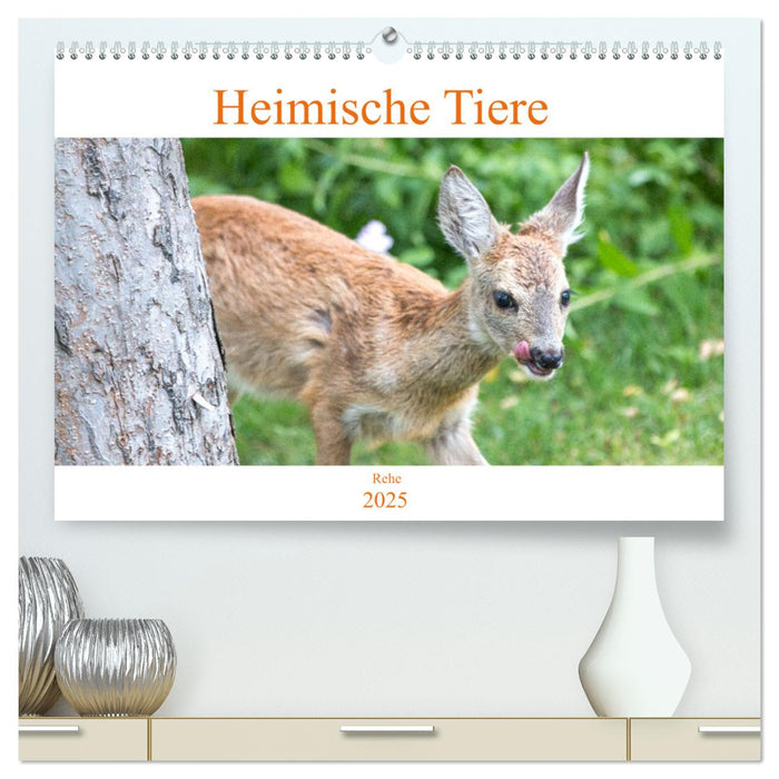 Heimische Tiere - Rehe (CALVENDO Premium Wandkalender 2025)