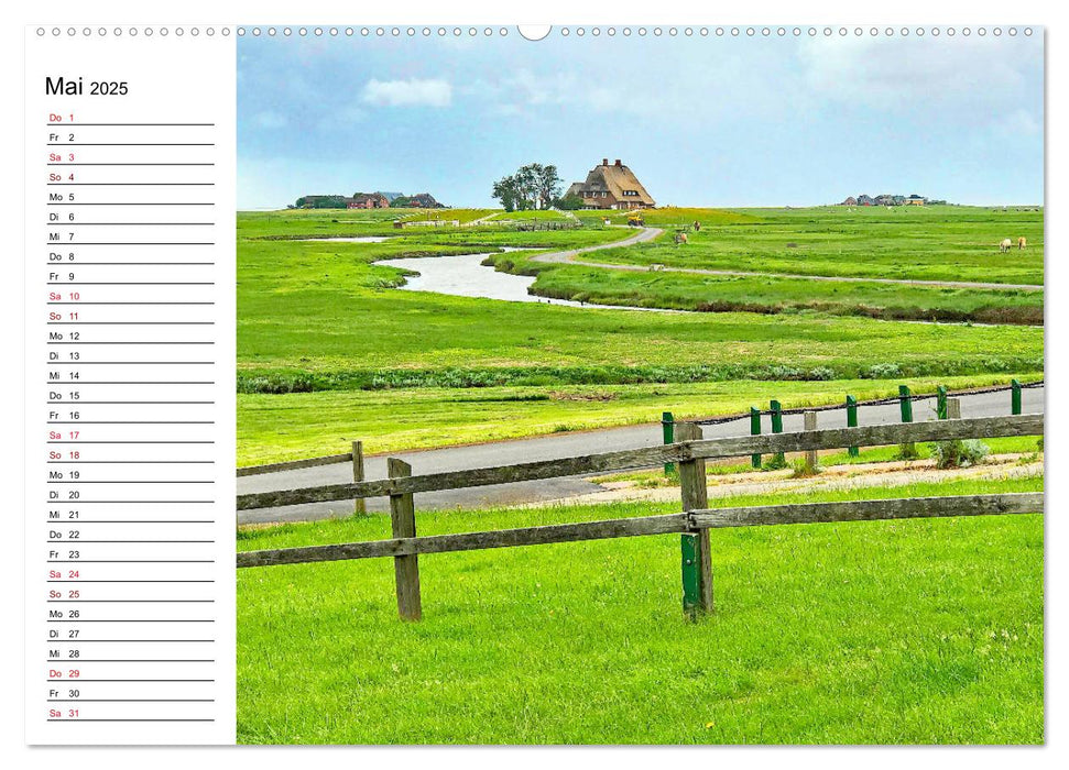 Hallig Hooge - Romantik Pur (CALVENDO Premium Wandkalender 2025)