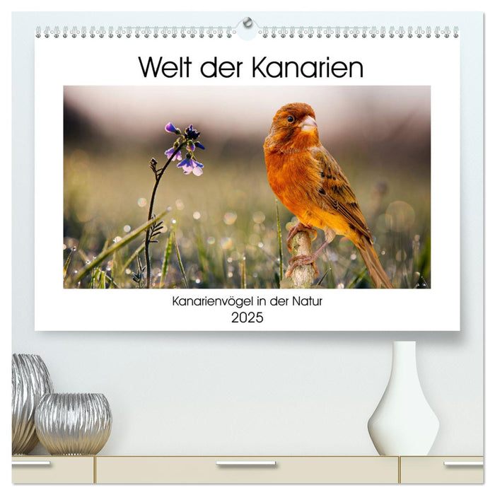 Welt der Kanarien (CALVENDO Premium Wandkalender 2025)