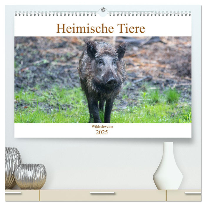 Heimische Tiere - Wildschweine (CALVENDO Premium Wandkalender 2025)