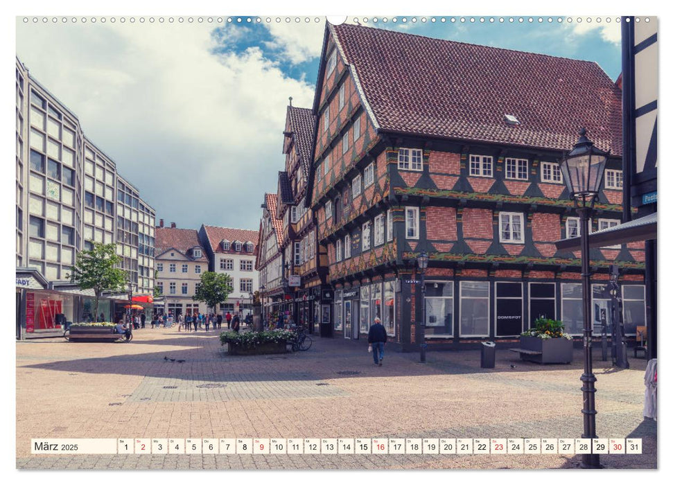 Altstadt Celle (CALVENDO Premium Wandkalender 2025)