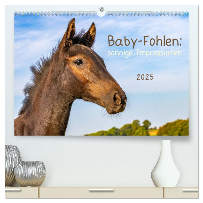 Baby-Fohlen: sonnige Impressionen (CALVENDO Premium Wandkalender 2025)