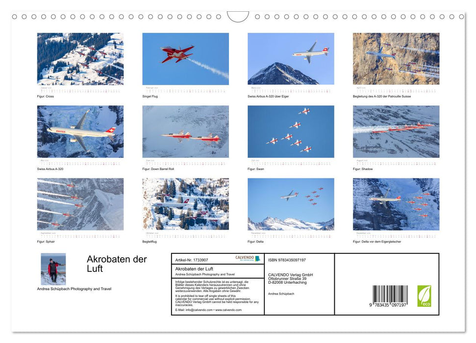 Akrobaten der Luft (CALVENDO Wandkalender 2025)