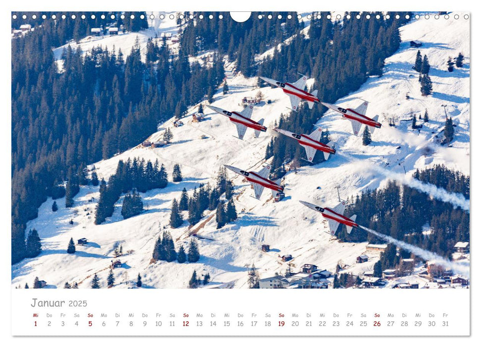 Akrobaten der Luft (CALVENDO Wandkalender 2025)