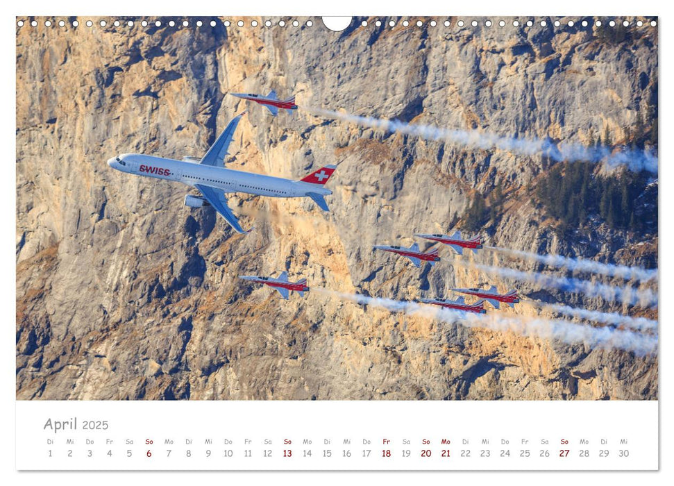 Akrobaten der Luft (CALVENDO Wandkalender 2025)