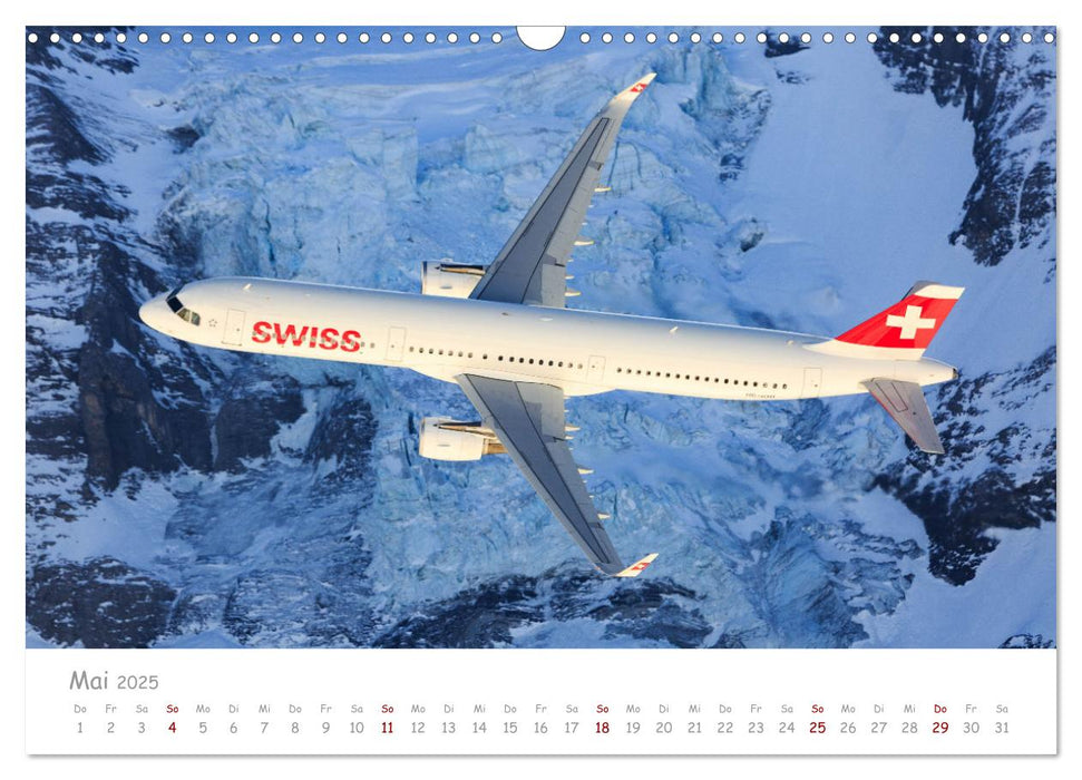 Akrobaten der Luft (CALVENDO Wandkalender 2025)