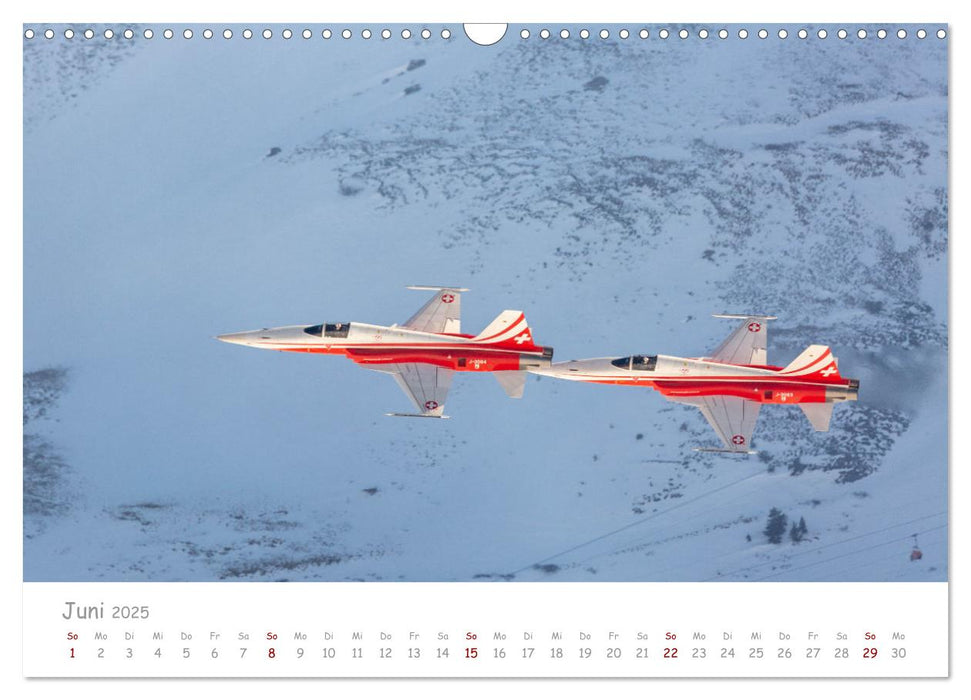 Akrobaten der Luft (CALVENDO Wandkalender 2025)