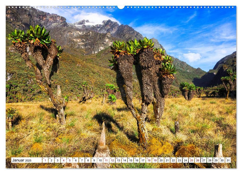 Ruwenzori - Afrikas mystisches Hochgebirge (CALVENDO Premium Wandkalender 2025)