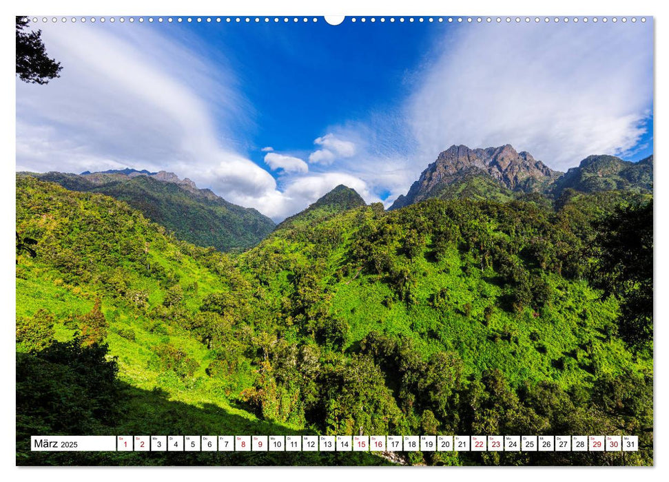 Ruwenzori - Afrikas mystisches Hochgebirge (CALVENDO Premium Wandkalender 2025)