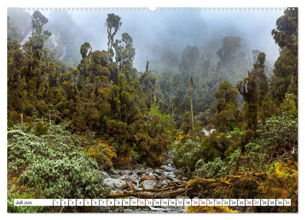 Ruwenzori - Afrikas mystisches Hochgebirge (CALVENDO Premium Wandkalender 2025)