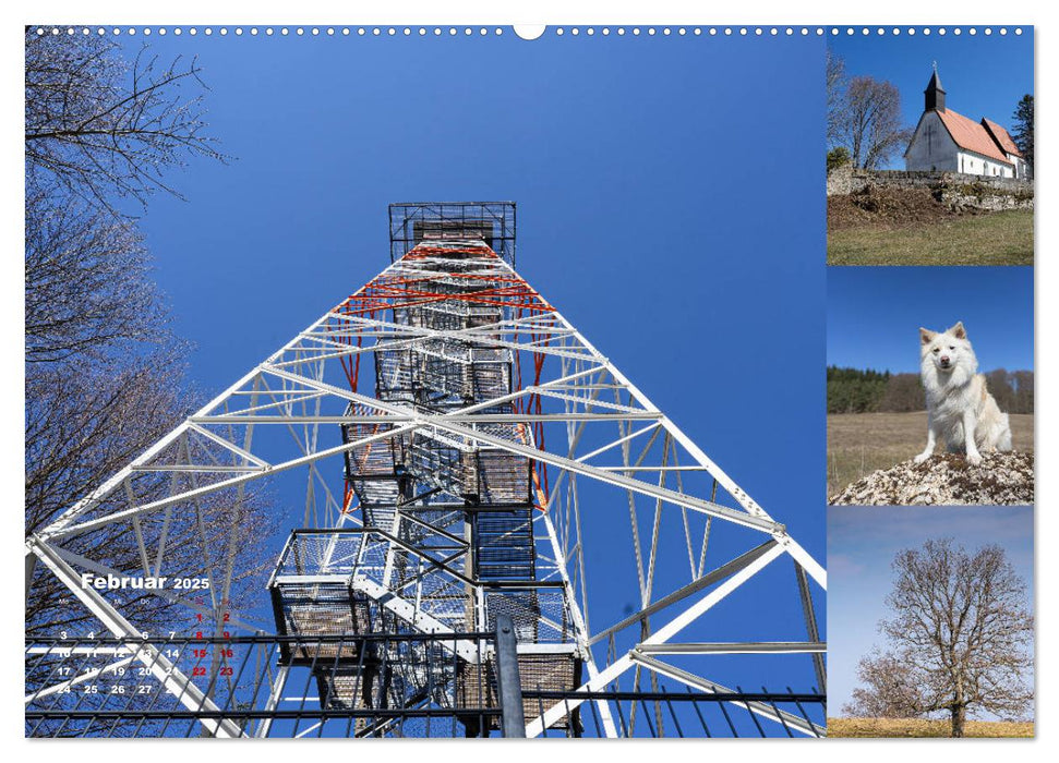 Hundespaziergänge auf der Schwäbischen Alb (CALVENDO Premium Wandkalender 2025)