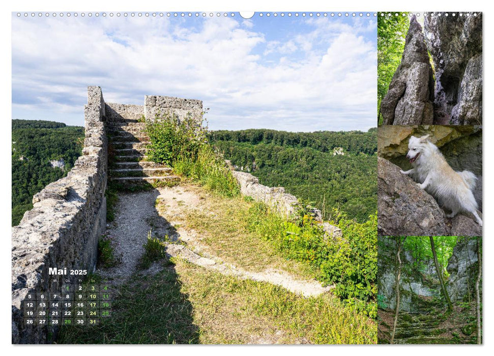 Hundespaziergänge auf der Schwäbischen Alb (CALVENDO Premium Wandkalender 2025)