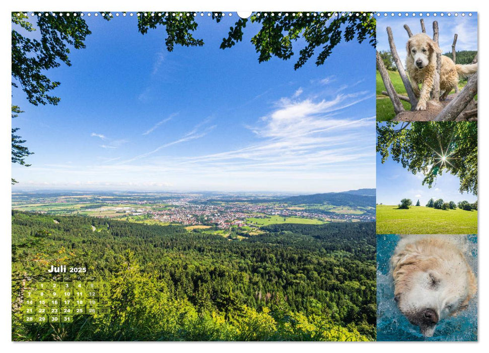 Hundespaziergänge auf der Schwäbischen Alb (CALVENDO Premium Wandkalender 2025)