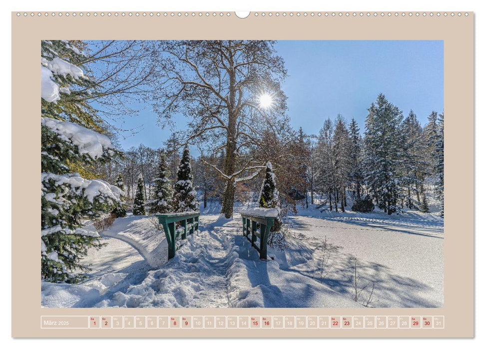 Vogtland - 900 Jahre Plauen (CALVENDO Premium Wandkalender 2025)