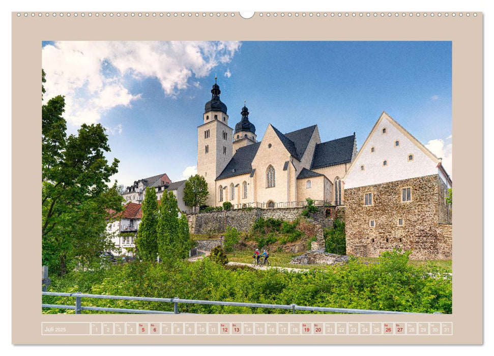 Vogtland - 900 Jahre Plauen (CALVENDO Premium Wandkalender 2025)